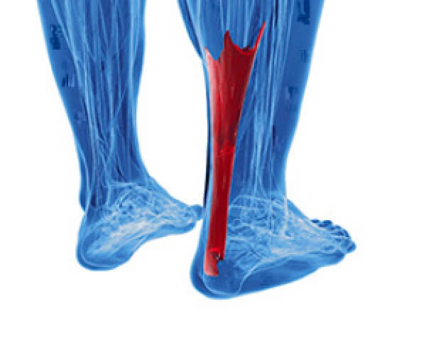 The Importance of Biomechanics in Podiatry